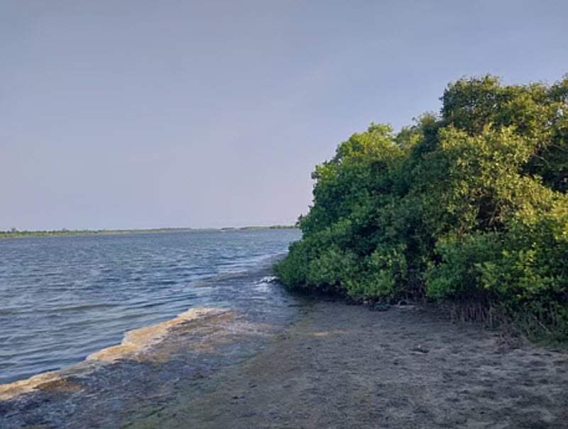 Perupalem Beach, Andhra Pradesh, India